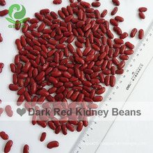 Chinese Good Quality Competitive Price Dark Red Kidney Beans